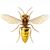 Bill Kuhn's profile image