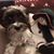 Debbie Romesburg's profile image