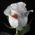Beatriz Costilla Martinez's profile image