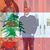 Elie Chedid's profile image