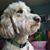 Levoy L Levoy's profile image