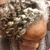 April Roberts Holland's profile image