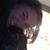 Treasure Green Ritzus's profile image