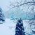 Elizabeth K Pageotte's profile image