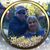 Barb Myrtle's profile image