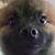 James Fernandez's profile image