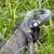 LaVera Nagle's profile image