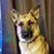 Nicole Newborn-Tudisco's profile image