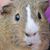 Chewy Lopez's profile image