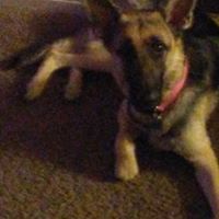 Brian Eurich's profile image