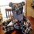 April Brantner-Wolf's profile image