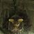 Stanley Shaffer's profile image