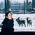 Charlene Pirak's profile image