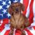 Bobby Gene Cunningham's profile image
