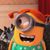 Barb Romano's profile image
