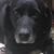 Gina Roberts's profile image