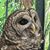 John G Schickler's profile image