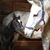 Patricia Ann Piccillo's profile image