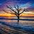 Carol Kinnear Dzurenko's profile image