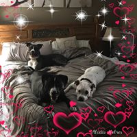 Denise Youmans Granberg's profile image