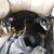 Linda Middaugh's profile image