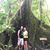 Cynthia Doten's profile image