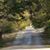 Debbie Miller Thomas's profile image