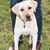 Erin Schryer-Mcnabb's profile image