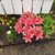 Kathy Bussie Groat's profile image