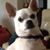 Fred Krol's profile image