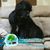 Valine Stapleton's profile image