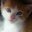 Casey Killoran's profile image
