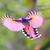 Joel Robey's profile image