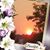 Virginia K Palmer Conley's profile image