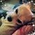 Dina Ginsberg's profile image