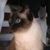 Deborah Broecker's profile image