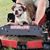 Corey Carver's profile image
