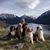 Sharon O'Brien's profile image