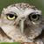 Solidad Junior's profile image