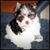 JE Bozarth's profile image