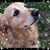 Laura N Jim Amwake's profile image