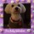 Jennefer Burgess Oliver's profile image