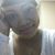 Kristina Marie Rollings's profile image