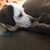 Heather Gustafson's profile image