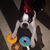 Barb Soulliere's profile image
