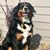 Amy Stone's profile image
