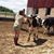 Breeanna Lukken's profile image
