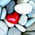 Jen Goldberg Gause's profile image
