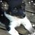 Brenda Parks Wallace's profile image