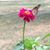 Carey Minard's profile image